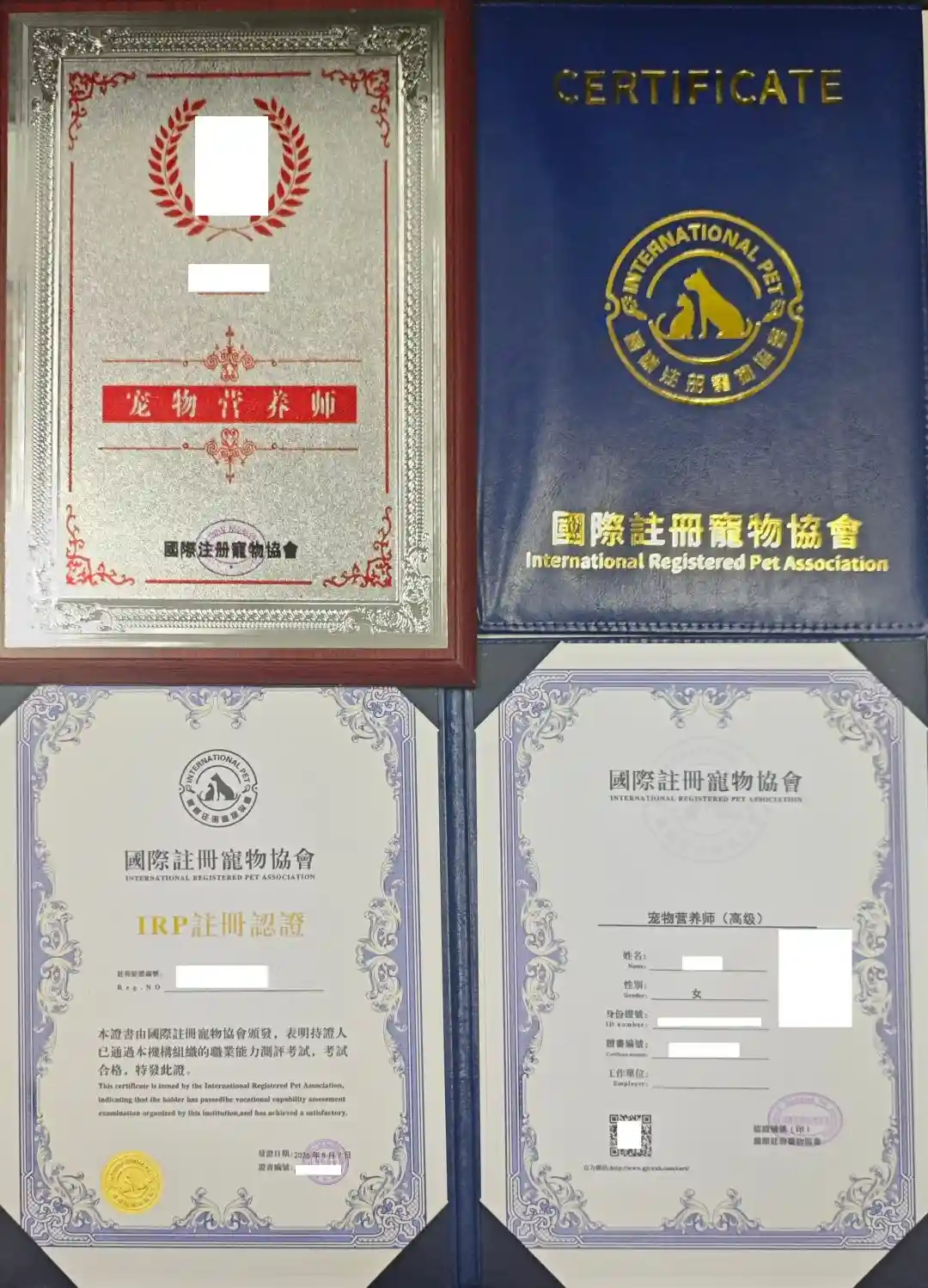 宠物营养师证书报考机构在哪里?2026年报考条件与避坑指南(佰加教育王老师答疑)