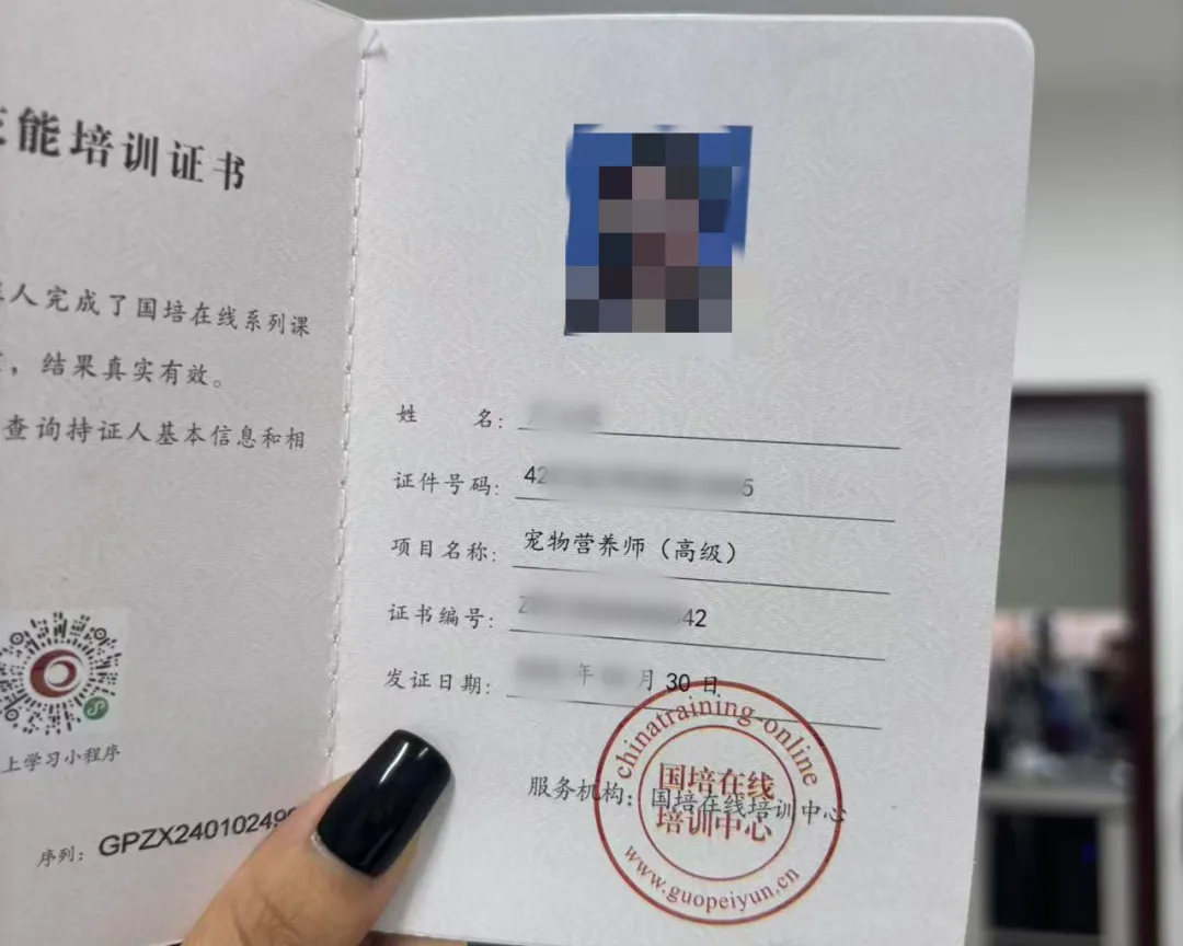 宠物营养师证书怎么考？佰加教育王老师教你避开报考机构3大坑
